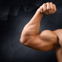 bicep-stock-image.jpeg